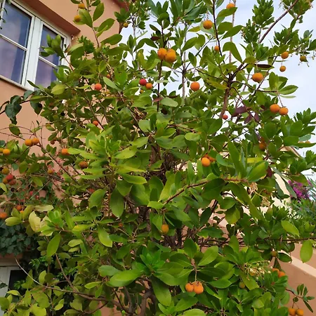 Cala Rossa Apartman *